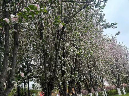 微信圖片_20260401164725 微信圖片_20260401164725