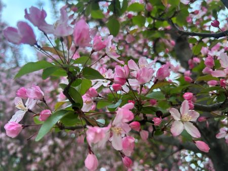 微信圖片_20260401163004 微信圖片_20260401163004