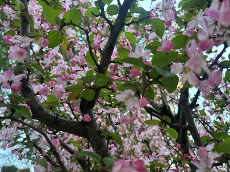 微信圖片_20260401163012 微信圖片_20260401163012